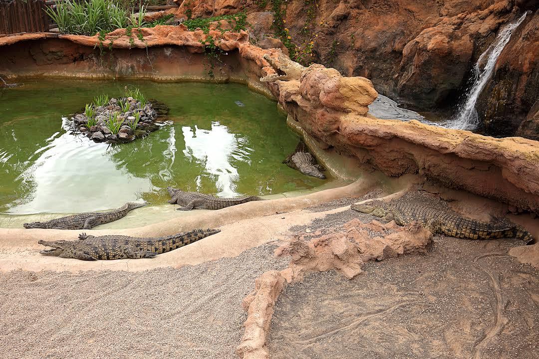 el Rancho Texas Lanzarote Park